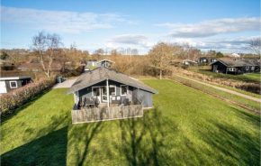 Amazing Home In Hemmet With Wifi